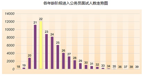 考上公务员的概率解析与探索