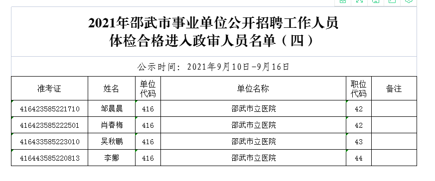 阜阳事业单位政审详解，流程、要点与影响分析