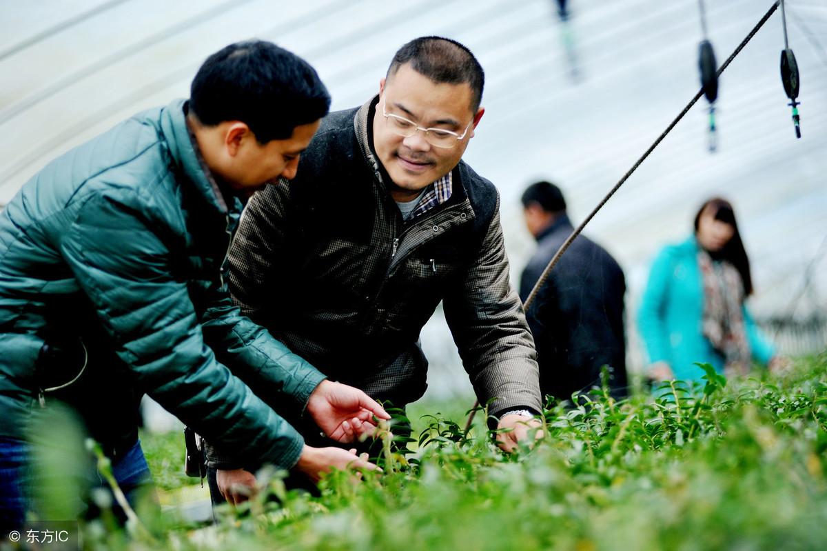 公务员录用规定修改中关于年龄上限的探讨，聚焦四十岁门槛的调整影响