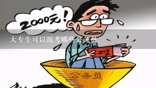 大专可考公务员，路径、机会与挑战分析