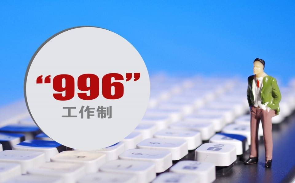 关于0854专业报考公务员的探讨与解析