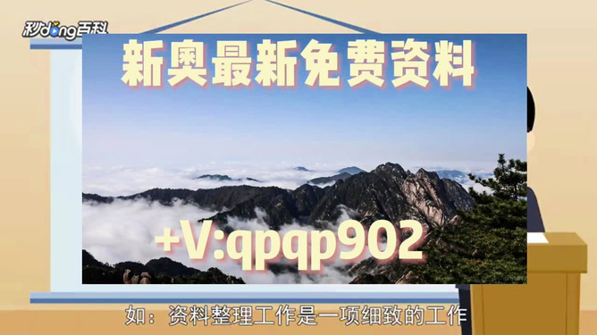 2024新奥正版资料免费提供,权威数据解释定义_标准版90.65.32