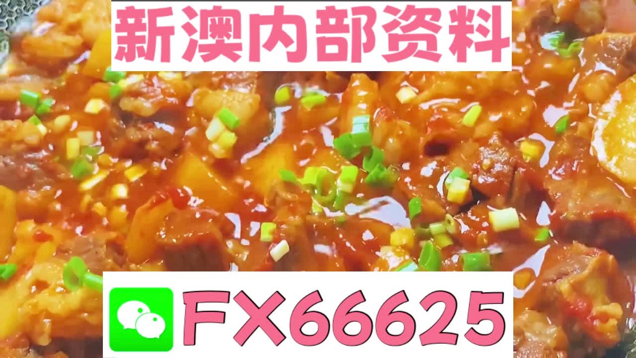 新奥门特免费资料大全管家婆料,功能性操作方案制定_NE版54.460