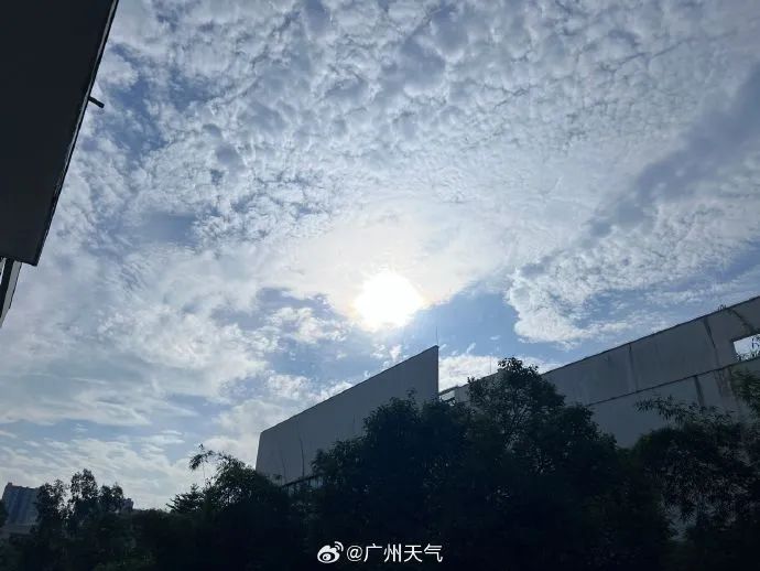 广州的夏天已持续了235天,准确资料解释落实_微型版31.579