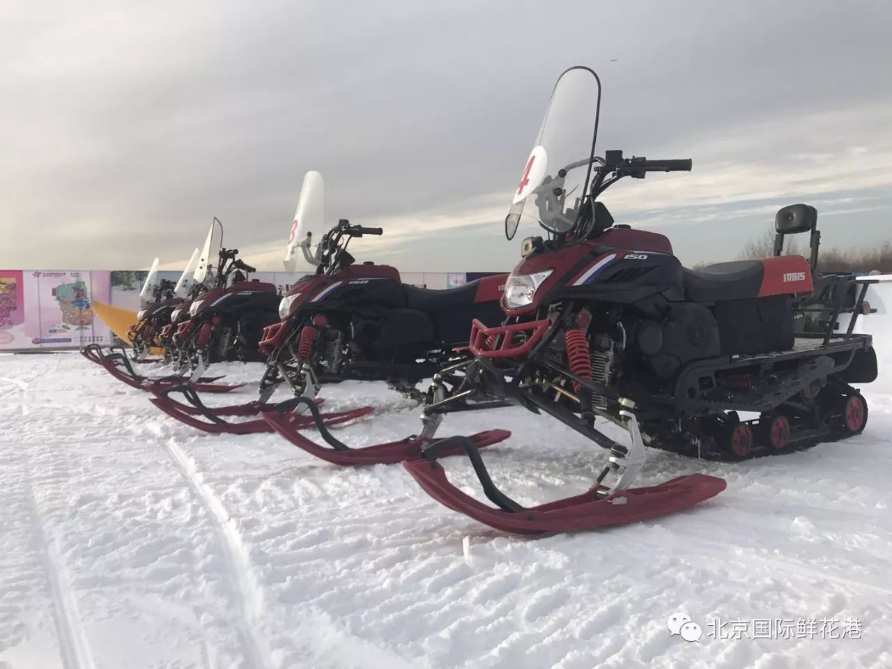 长春莲花山滑雪场引入机器狗，智能滑雪新纪元启幕