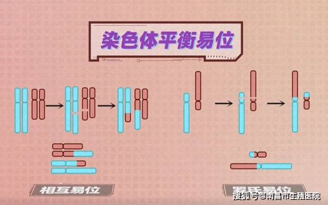 一位00后女孩面对代孕、流产与发声的抉择与挑战