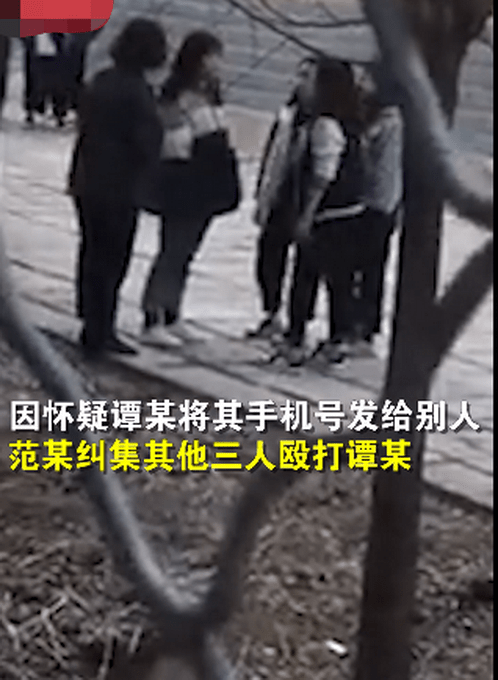 校园暴力事件引发深思，应对初中生校内群殴的反思与策略