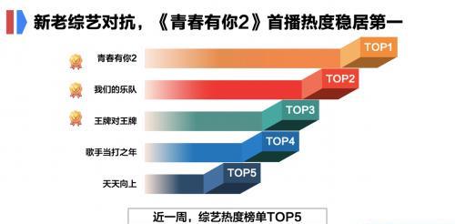 精准一肖100准确精准的含义,实地数据解释定义_W29.131