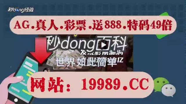 2024澳门天天开好彩大全开奖结果,专业解答实行问题_运动版36.731