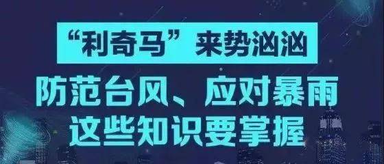 澳门今晚一肖必中特,权威诠释推进方式_Q91.544