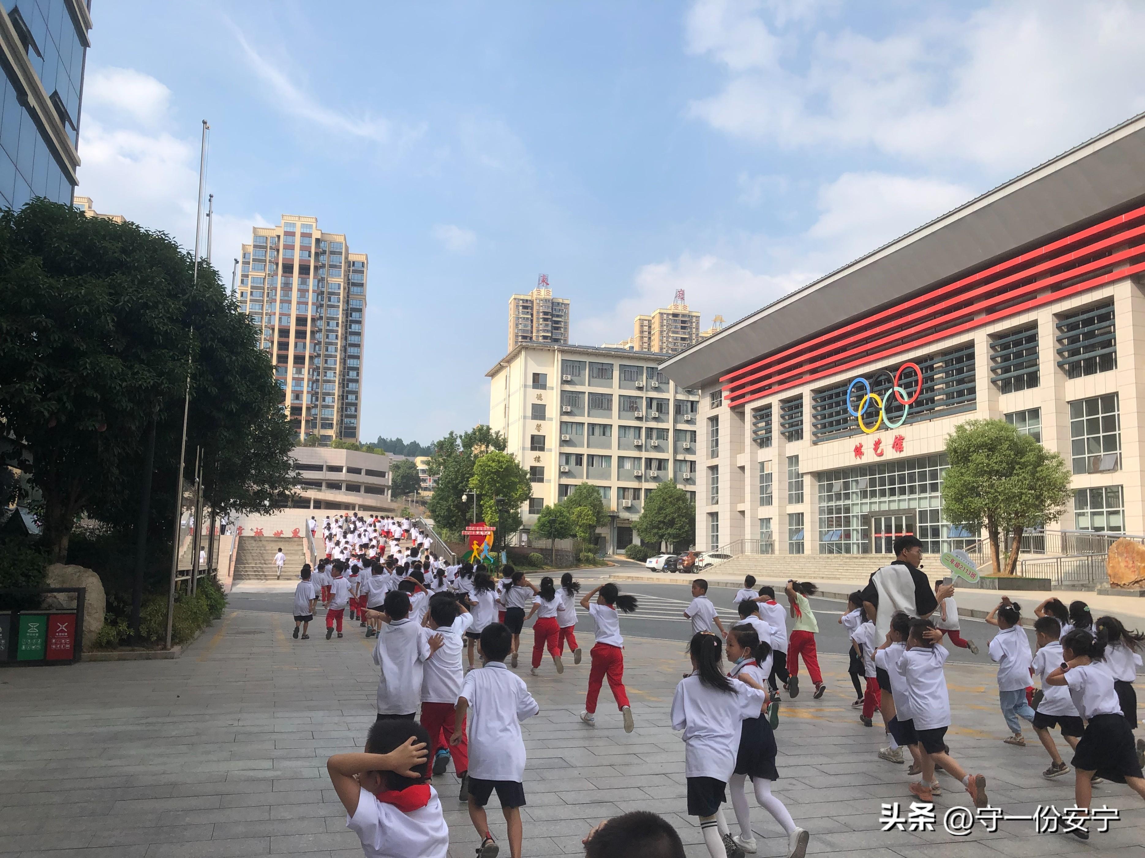 女子职场遭遇突变，公司解散与生涯转折的挑战