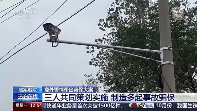 男子骗保开车撞树身亡事件，真相揭秘与社会警示