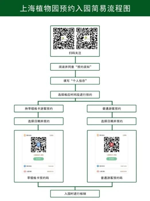 新奥门天天开将资料大全,现状解答解释定义_WP59.846