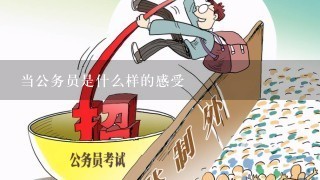 考上公务员的心路历程，挑战、成长与责任的交织感悟