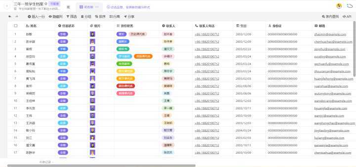 2024年天天彩资料免费大全,实地验证策略_U35.877