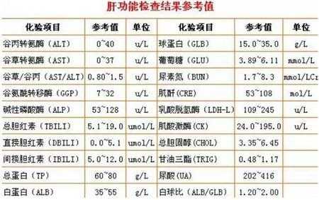 公务员体检标准解析，急慢性肝炎的定义与要求