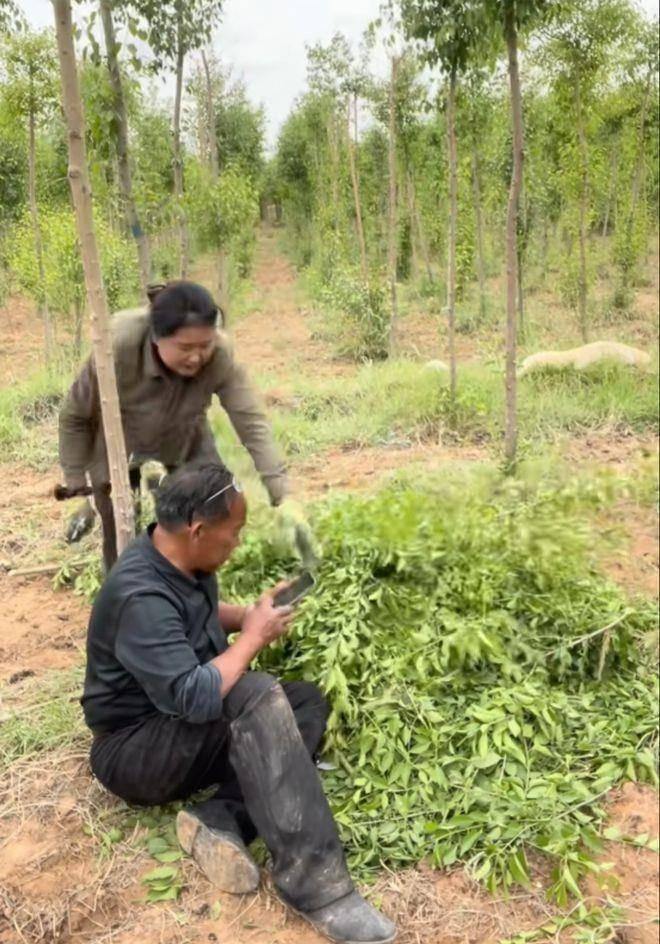 大学生旅游学费耗尽后碰瓷酒店事件，社会问题的反思与应对策略