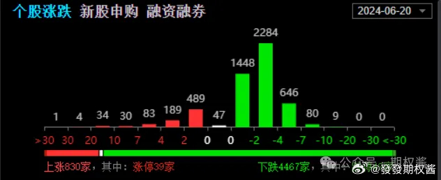 澳门今晚一肖一码,数据整合执行方案_豪华版66.316