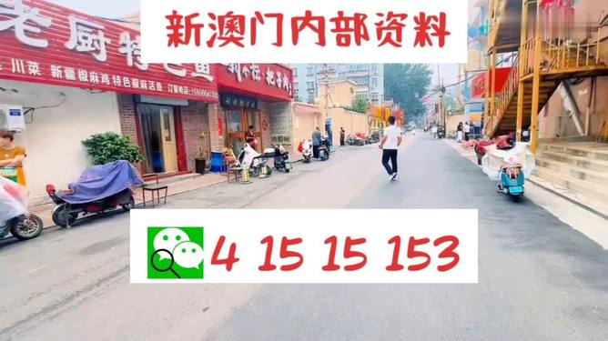 2024澳门天天开好彩大全162,实地考察数据应用_豪华款96.815