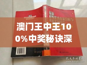 澳门王中王100%期期中一期,实际应用解析说明_战略版43.685