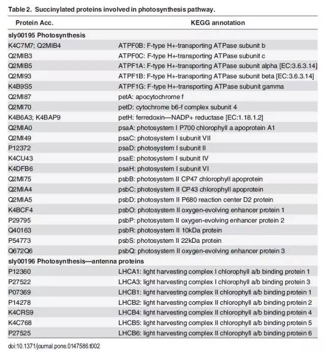 一肖资料网,精细化评估解析_旗舰版47.628