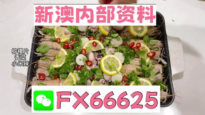 新澳精准资料免费提供4949期,动态解读说明_XP83.849