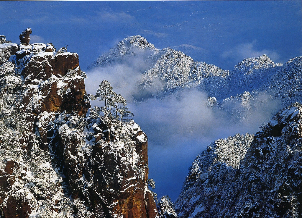 黄山金色雪景惊艳世界，雪落松间绘就金色画卷