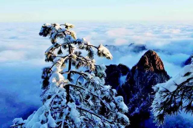 黄山金色雪景奇观，冬日的童话与自然的魔法展现