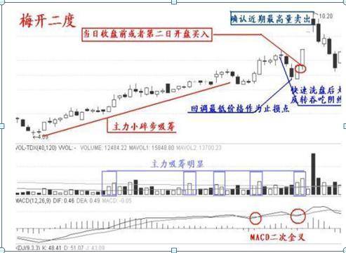 柚子味儿的西瓜 第5页