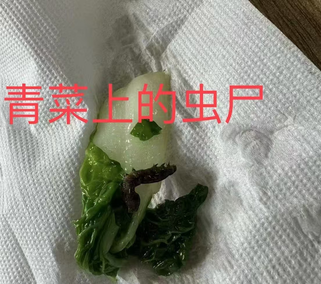 上海学校食堂食品安全问题敲响警钟，惊现青虫蜗牛事件曝光