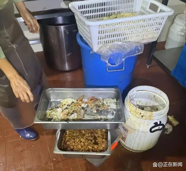 上海某学校食物出现变质有虫现象，深度探究背后的原因与反思