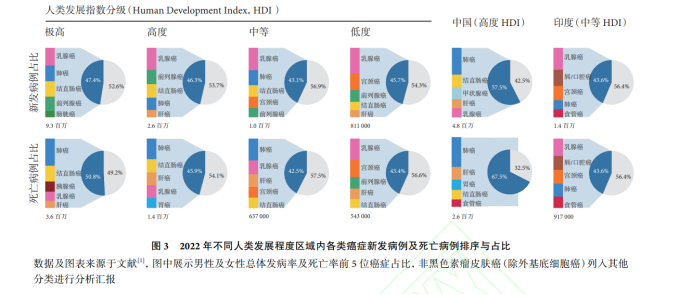 一肖马管家婆期期准95期,数据引导策略解析_ChromeOS64.459