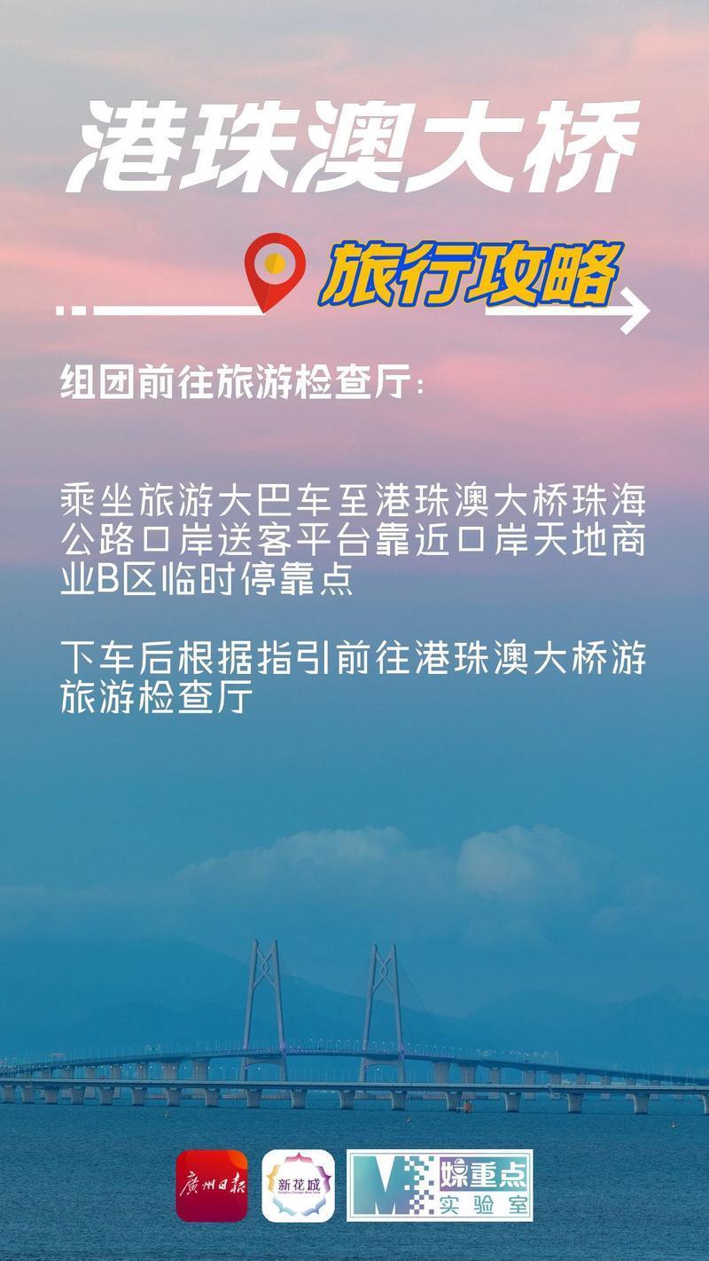 港珠澳大桥暂停营运，深度分析与展望未来