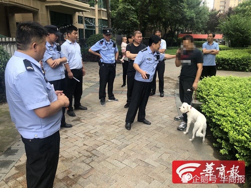 西安大型犬扑咬事件背后的真相与反思