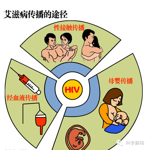 全国艾滋病，性传播主导地位严峻现实