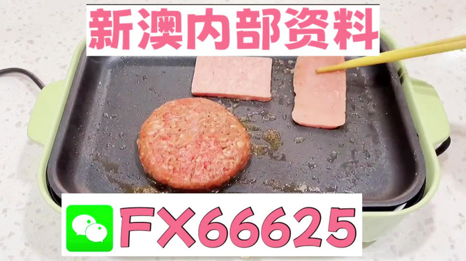 新澳门一码一码100准确,动态解释词汇_终极版61.649