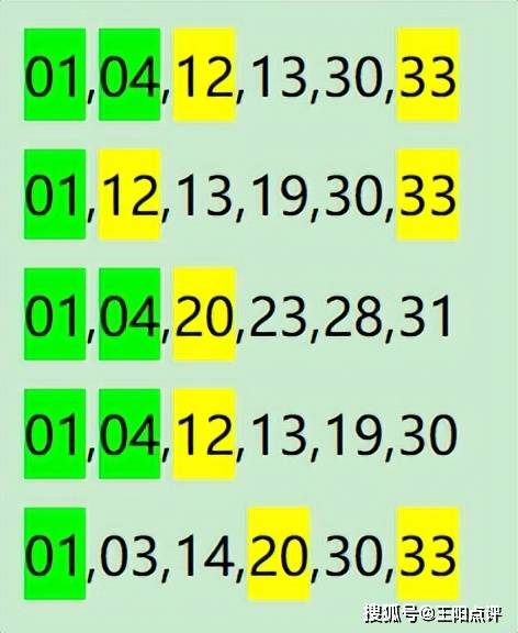 最准一肖一码100%最准软件,实地数据验证执行_微型版51.951