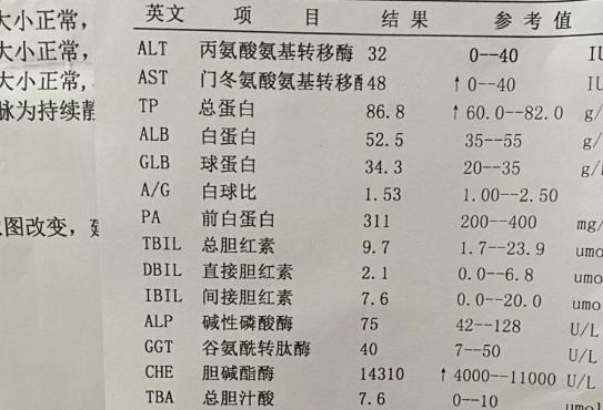 公务员体检血压标准详解