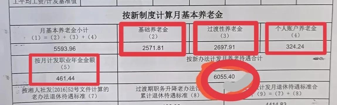 公务员过渡性考试，解析与探索之路