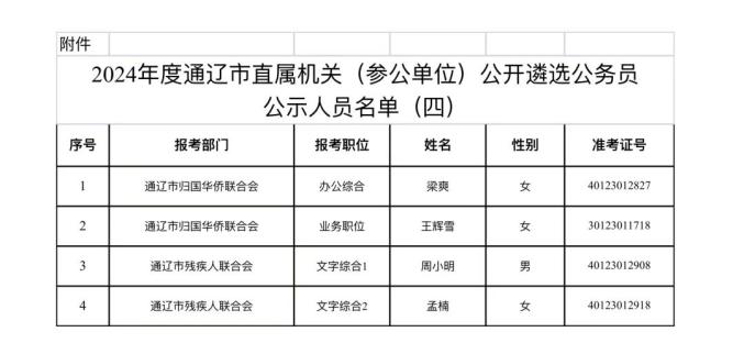 辽阳公务员公示名单，新时代选拔英才的透明公开篇章