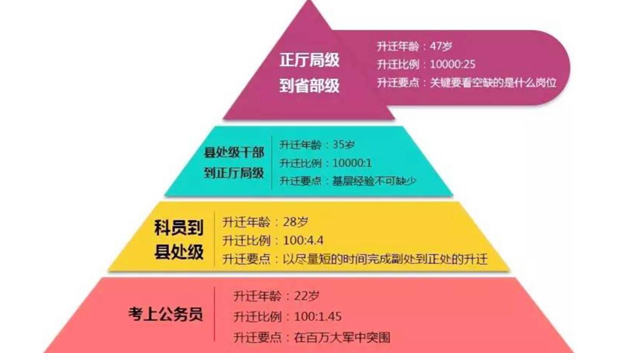 公务员考试年龄要求深度解析与探究