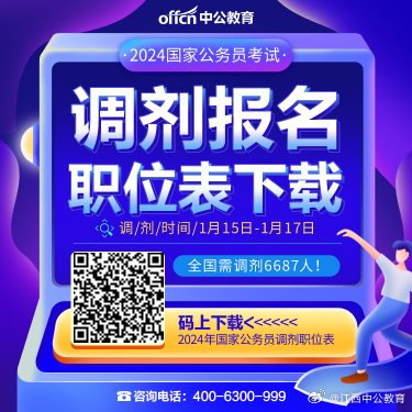 XXXX年公务员调剂公告正式公布通知