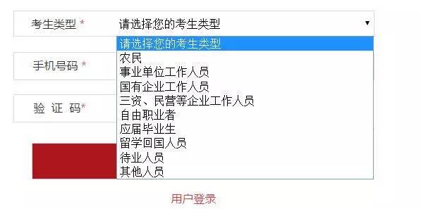 公务员报名资料填写指南，详细步骤与注意事项