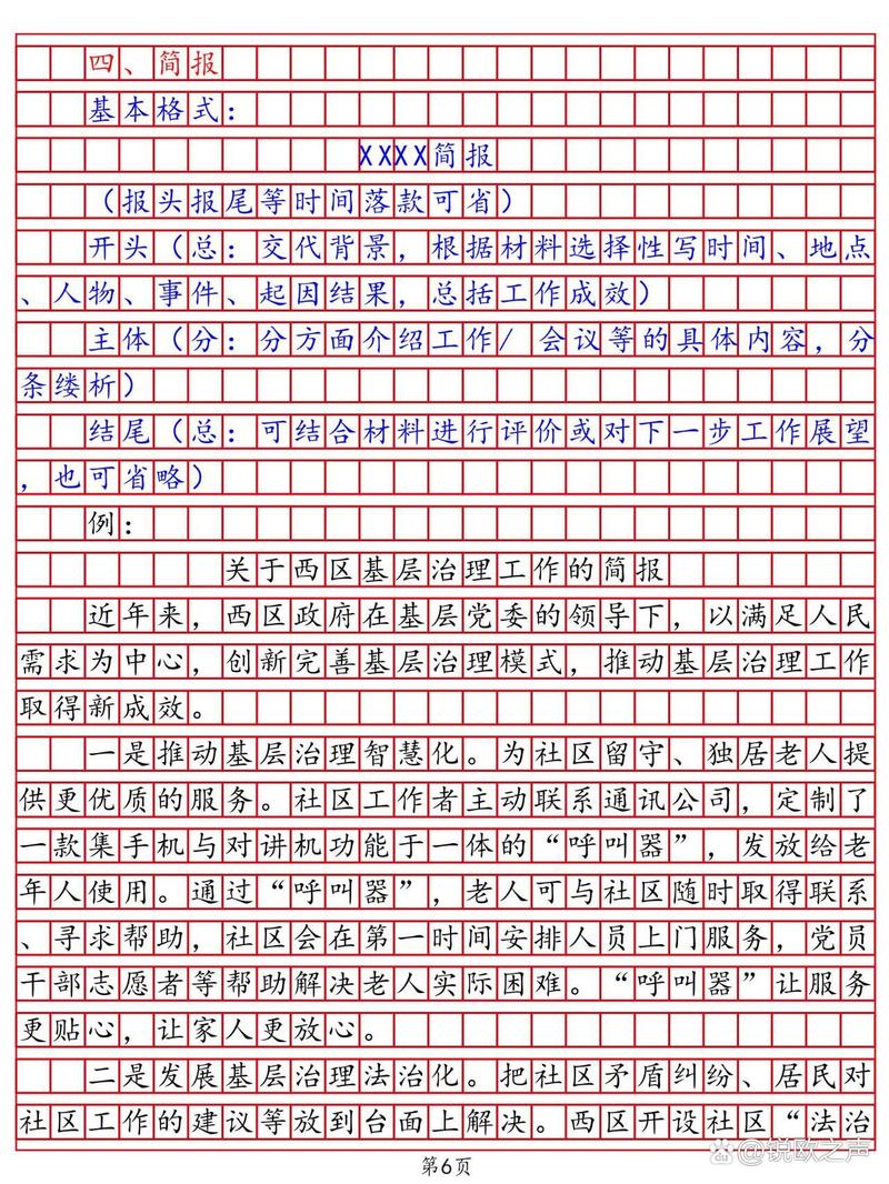 申论格式范文深度解析与探讨