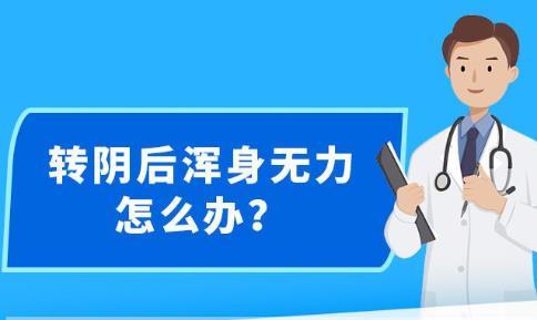 新澳精准资料免费提供,多样化策略执行_FHD版65.380