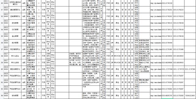 2024年山东公务员职位表深度解析及趋势预测