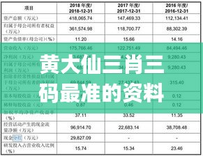 大黄仙精选一肖一吗,全面数据执行方案_9DM50.31