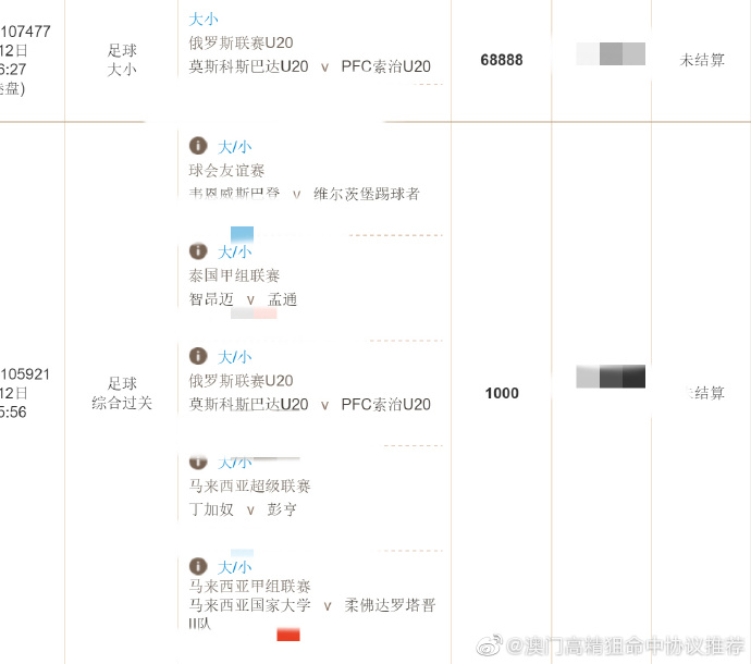 新澳门精准资料期期精准,稳定性策略设计_Gold24.304