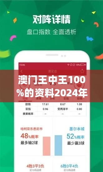 新澳门王中王100%期期中,实践研究解析说明_尊享版29.507