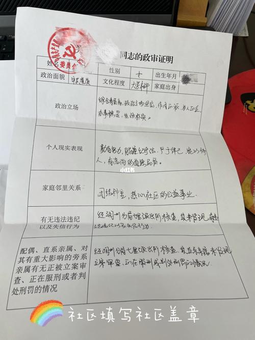 遴选政审材料流程详解，重要性及步骤解析